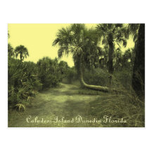 Postal de Dunedin la Florida de la isla de Calades