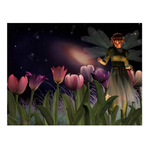Postal de hadas de la noche