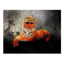 Postal de Kool Kat