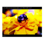 Postal de la abeja