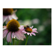 Postal de la abeja ocupada