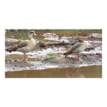 Postal de la amistad tarjeta personal