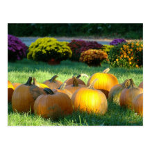 Postal de la calabaza