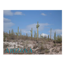 Postal de la colección de Arizona del viaje