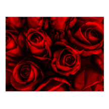 Postal de la elegancia del rosa rojo