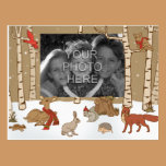 Postal de la foto del navidad del arbolado tarjetas postales