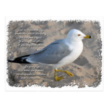 Postal de la gaviota