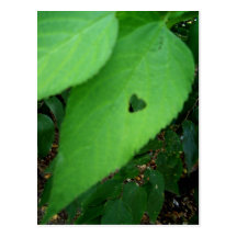 postal de la hoja del amor