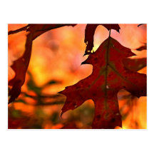Postal de la hoja del otoño