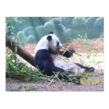 postal de la panda
