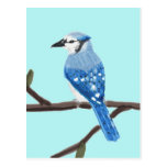 Postal de la pintura de la acuarela del arrendajo 