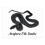 Postal de la serpiente del fichero de Arafura