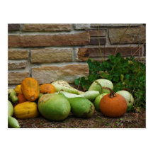 Postal de las calabazas de la granja