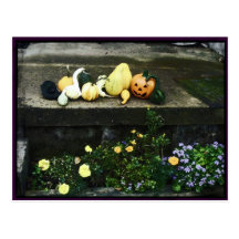 Postal de las calabazas y de las calabazas de Hall