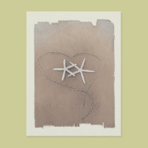 Postal de las estrellas de mar tarjetas postales
