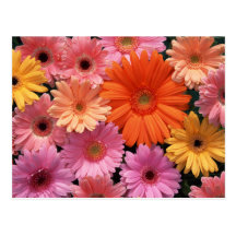 Postal de las flores del bonito