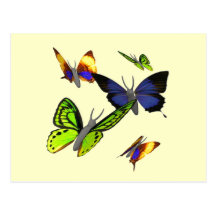 Postal de las mariposas