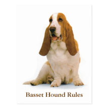 Postal de las reglas de Basset Hound