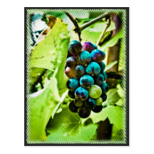 Postal de las uvas