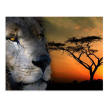 Postal de Leo
