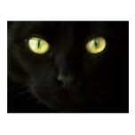 Postal de los ojos de gato