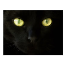 Postal de los ojos de gato