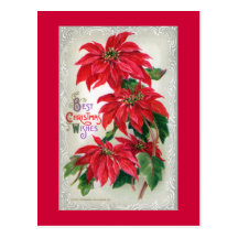 Postal de los Poinsettias