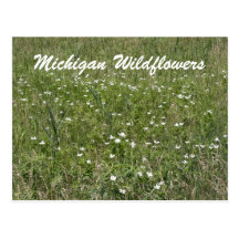 Postal de los Wildflowers de Michigan