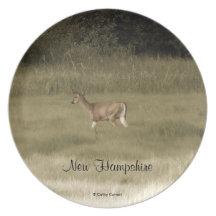 Postal de New Hampshire Platos