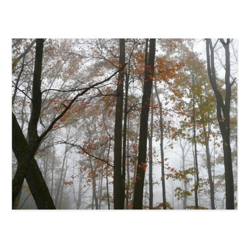 Postal de niebla de la caída