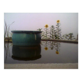 Postal de niebla del día