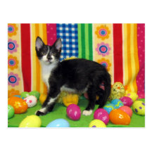 Postal de Pascua de Foxi Moxi