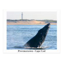 Postal de Provincetown - de Cape Cod