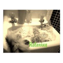Postal de RELAJACIÓN del gato