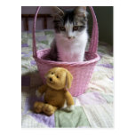 Postal de SweetieKitty