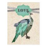 Postal del amor del pavo real   de Celeste