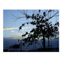 Postal del árbol
