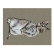 Postal del arte del conejo de conejito que se sien
