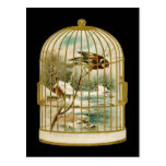 Postal del Birdcage de la escena del invierno