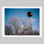 Postal del Birdhouse tarjetas postales