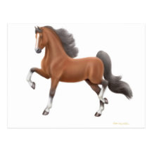 Postal del caballo de Saddlebred del americano