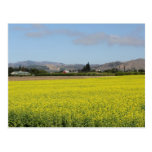Postal del campo de flores