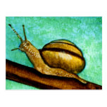 Postal del caracol 1
