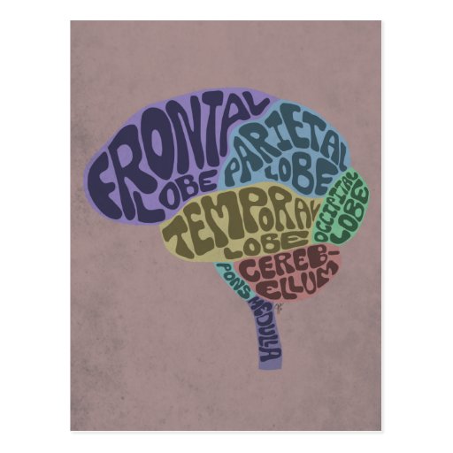 Postal del cerebro