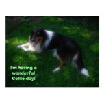 postal del collie-día