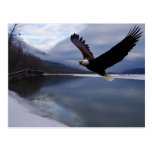 Postal del coto de Chiklat Eagle