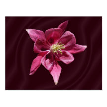 Postal del ~ de Columbine los 57M