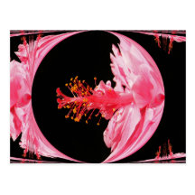 Postal del ~ de la esfera del hibisco