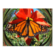 Postal del ~ de la mariposa 256