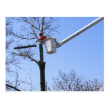 Postal del ~ del retiro del árbol